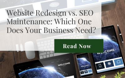 Website Redesign vs. SEO Maintenance: Which One Does Your Business Need?
